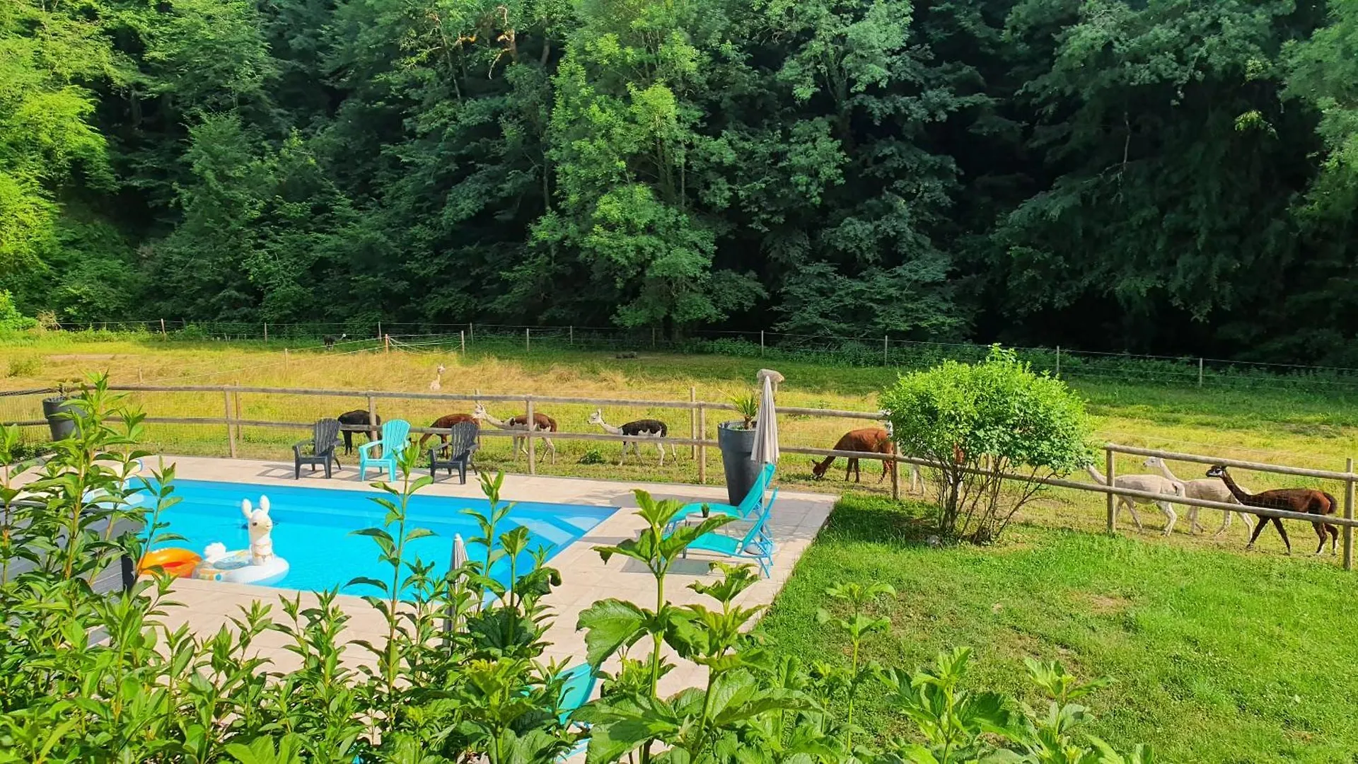 Bed and Breakfast La Ferme des Andes à Quins 0*,