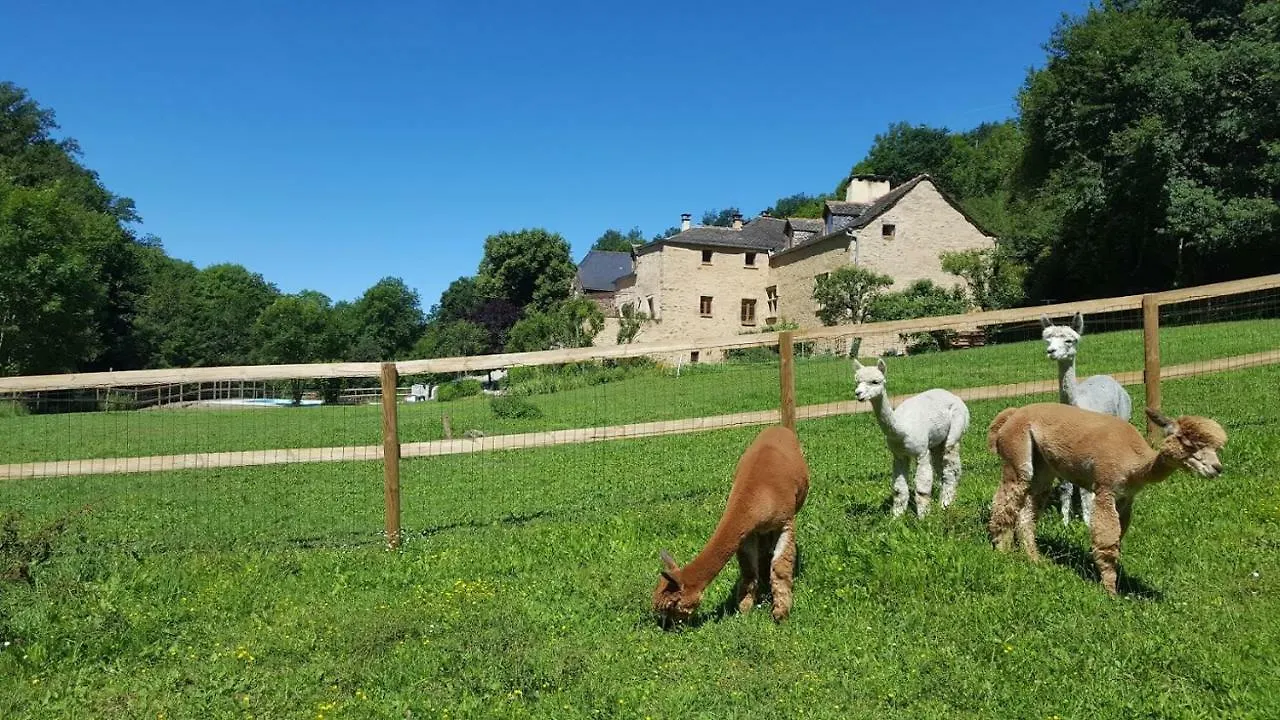 La Ferme Des Andes Bed & Breakfast Quins