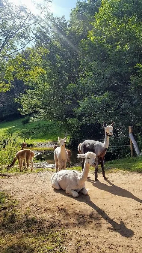 La Ferme Des Andes Bed & Breakfast Quins